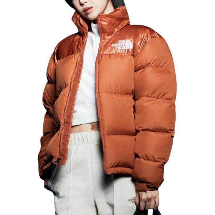 THE NORTH FACE 1996 Down Jacket Men's NJ1DP74B