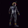 Figure Rise Standard Kamen Rider Black, корейская популярная бандай