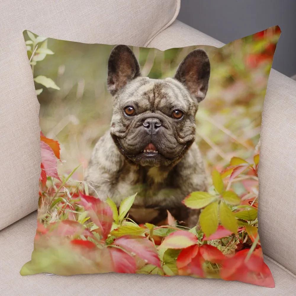 Домашний Декор Милый Питомец Мини Французский Бульдог Наволочка Диван Автомобиль Украшение Животное Собака Наволочка С Принтом