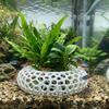 Wide-View Fish Shrimp Hiding Cave Porous Structure Breeding Shelter  Small Fish