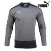 Толстовка Puma Team Goal 23 Training Sweat 656478 13