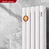 Sunfar GPA60 Steel Radiator