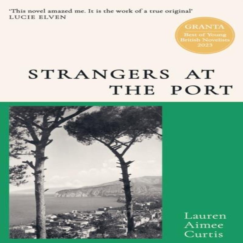 Strangers at the Port by Lauren Aimee Curtis Hardback Book 9781399608169