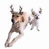 Supplies Xmas Outfits Christmas Hat Costume Dog Headwear Hair Grooming Accessories Cat  Accessories