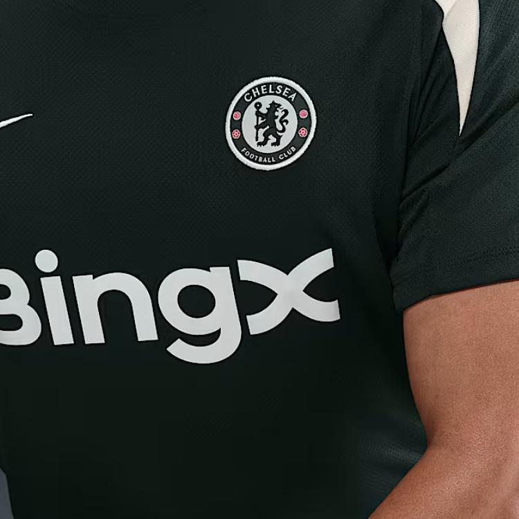 Nike Мужская футболка с коротким рукавом Nike Dri-FIT Chelsea FC Strike HJ7750-347