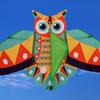 Long Tail 1M Cartoon Kites 50 Meter Kite Line Children's Kite New Colored Owl Kite  Outdoor Sports