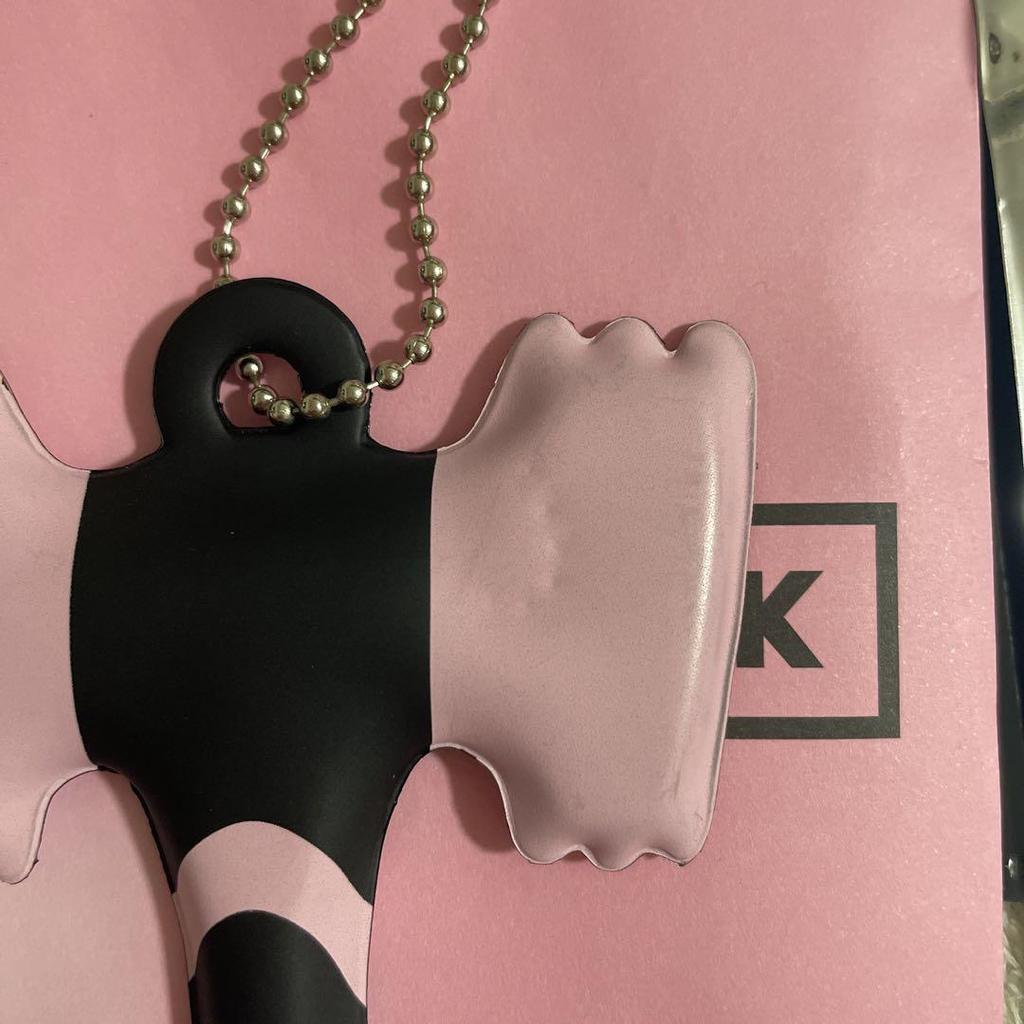 [USED] BLACKPINK2018 Merchandise LISA