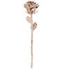 Long Stem Rose Gifts Dipped 24K Real Artificial Flower with Leaf Craft CollectionRose Gold