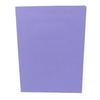 A4 Double File Folder Color-Coded Paperwork Organizer Double Pocket Business Card Slot Visual Appeal File Organizer