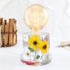 1 Набор Форма для лампы Экологичная DIY Силиконовая Форма для изготовления поделок из смолы Эпоксидная Форма для дома
