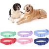 Elastic Webbing Waterproof Dog Collar Pet Identification Safety Buckle Chain Pet Collar Outdoor