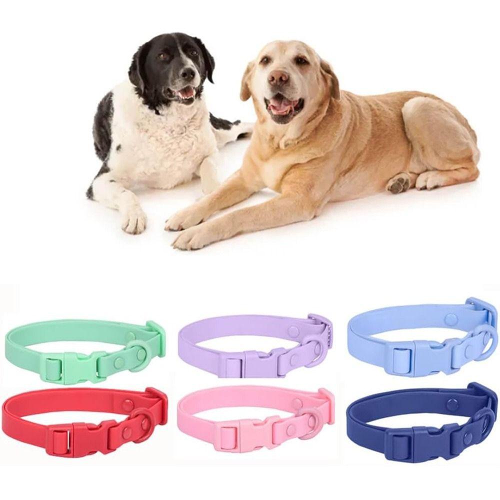 Adjustable Waterproof Dog Collar Pet Identification Safety Buckle Chain Fashion Pet Collar Puppies