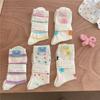 Puppy Socks, Colorful Mid-calf Socks, Summer Pile Socks, Breathable and Sweat-absorbing Socks for Women