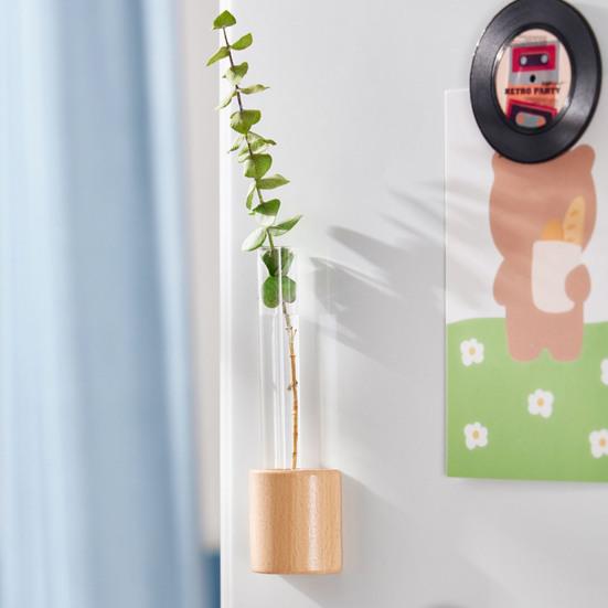 Гидропонные растения Ваза-пробирка Магнит на окно/холодильник Деревянная подставка Размножение растений