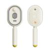 USB Electric Spray Air Cushion Massage Comb, Electric Spray Air Cushion Comb, 5-in-1 Detangling Hair Brush for Dry Frizzy Hair