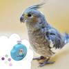 Safe Low Noise Electric Parrot Nail Trimmer Round Mini Bird Nail Cutter with 6 Grinding Heads Nail Trimming Tool Bird Paw