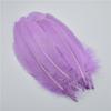 20Pcs Colorful Hard Stick Goose Feather 6-8inch/15-20cm Natural Swan Crafts Plumes  Table Centerpieces Feathers for Decoration