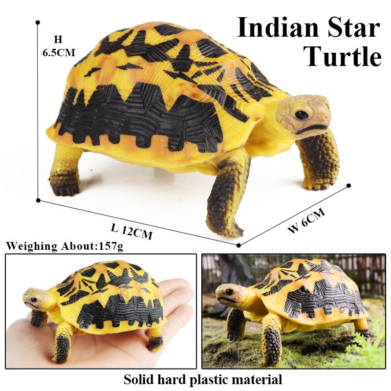 Oenux Модель Морские Животные Кожистая Черепаха Черепаха Цикл Роста Океанские Фигурки Фигурки Действия ПВХ Коллекция Игрушка для Детей Подарок