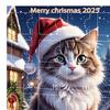 Classic Broadway Shows Advent Calendar 2025 24 Days Countdown Calendar With Iconic