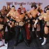 WWE Articulated Wrestling Action Figures - New Lineup for Gifts and Collectors