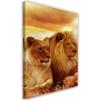 Canvas Print Lions Africa Animals