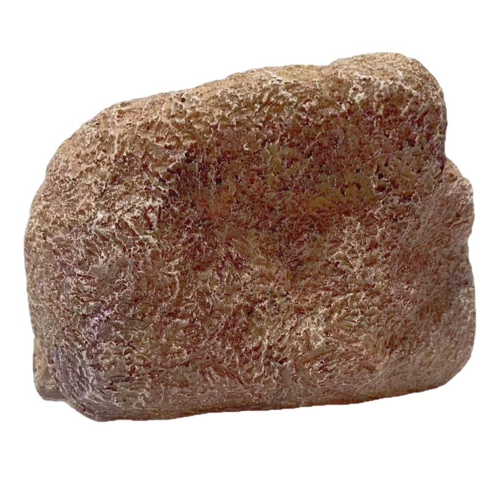 Натурально выглядящий полимерный фальшивый камень держатель для ключей для улицы, сада, незаметный ящик для хранения ключей, украшений, наличных денег, сейф для сокрытия