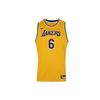 Повседневный спортивный костюм Nba Youth Los Angeles Lakers James 6 дышащий быстросохнущий спортивный жилет детская спортивная одежда Lakers-желтый 3Z2B7BZ2P-LAK06