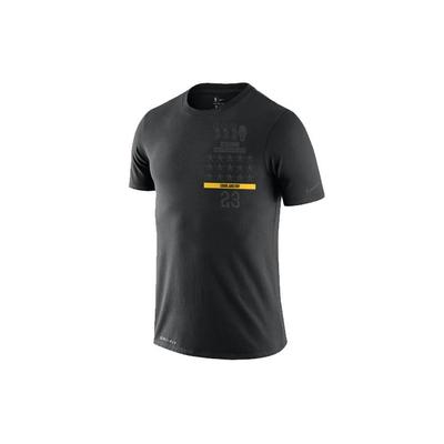 Мужская футболка с коротким рукавом Dri-Fit Mvp LeBron James NBA, черные BV1539-010