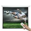 NEC 100-inch 4:3 Electric Projector Screen