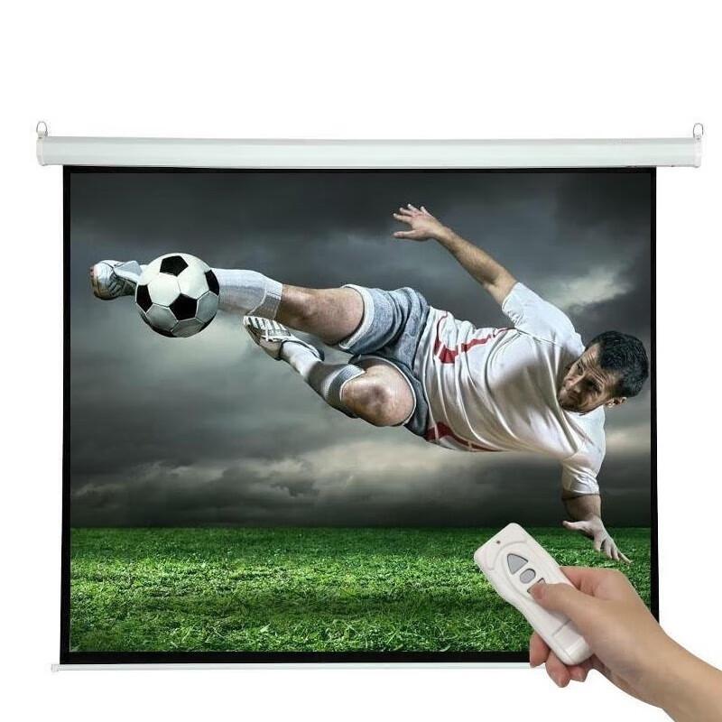 NEC 100-inch 4:3 Electric Projector Screen