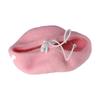 Ins Solid Color Mini Cat Accessories Dog Beret Cat Hat Pet Wool Cap Pet Headwear