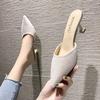 Cool Slippers Women's 2025 New Summer Fashion Outer Wear Medium Heel Thin Heel Pointed Head Bag Head Half Drag High Heel Single Shoes Ins