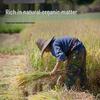 Jinyate Gardening & Plant Substrates