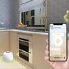 Устойчивый к погодным условиям WiFi-соединение Беспроводной детектор протечки воды с мобильными оповещениями для комплексной безопасности дома и офиса