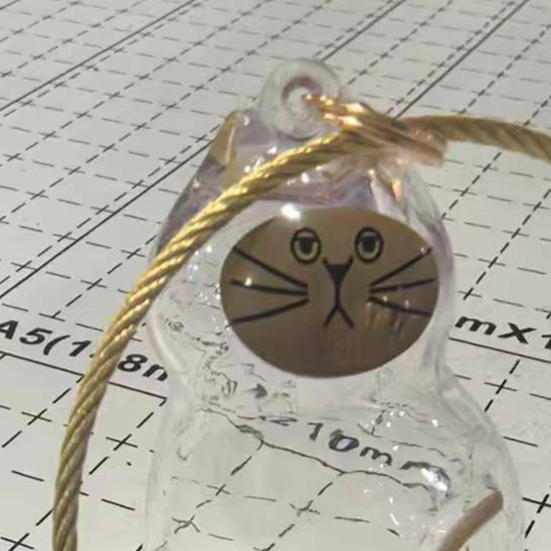 3Pcs Cat Hair Storage Box Keychain Transparent Acrylic Dog Hair Memorial Bottle Pet Hair Collector Container Key Ring Pet Owner Keepsake Gift