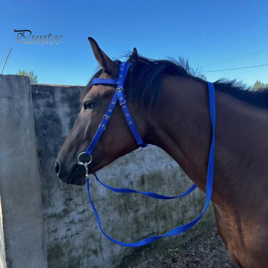 Недоуздок для лошади с регулируемым подбородком, плюшевый подбитый повод для лошади, тренировочное оборудование для лошадей, аксессуар для конного спорта