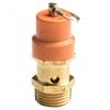 Safety Relief Valve Secondary Air Compressor Accessories