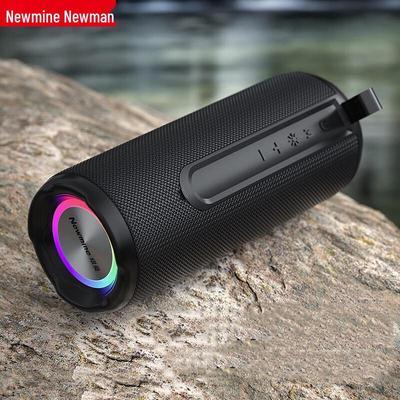 Портативная Bluetooth-колонка Newman BT76, штекер CN (адаптер в комплекте)