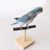 Bird Perch Nature Stand for Parrots Conure Supplies Budgies Stand Scratchers for Small Parrots Rack Toy