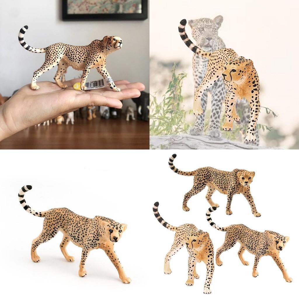 Realistic Wildlife Statue Cheetah Head Up Clouded Leopard African Leopard Indian Leopard Collection Toy 10*2.5*6.5cm)