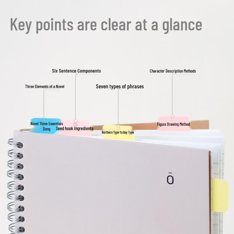 Deli 25904 Mixed Index Tabs