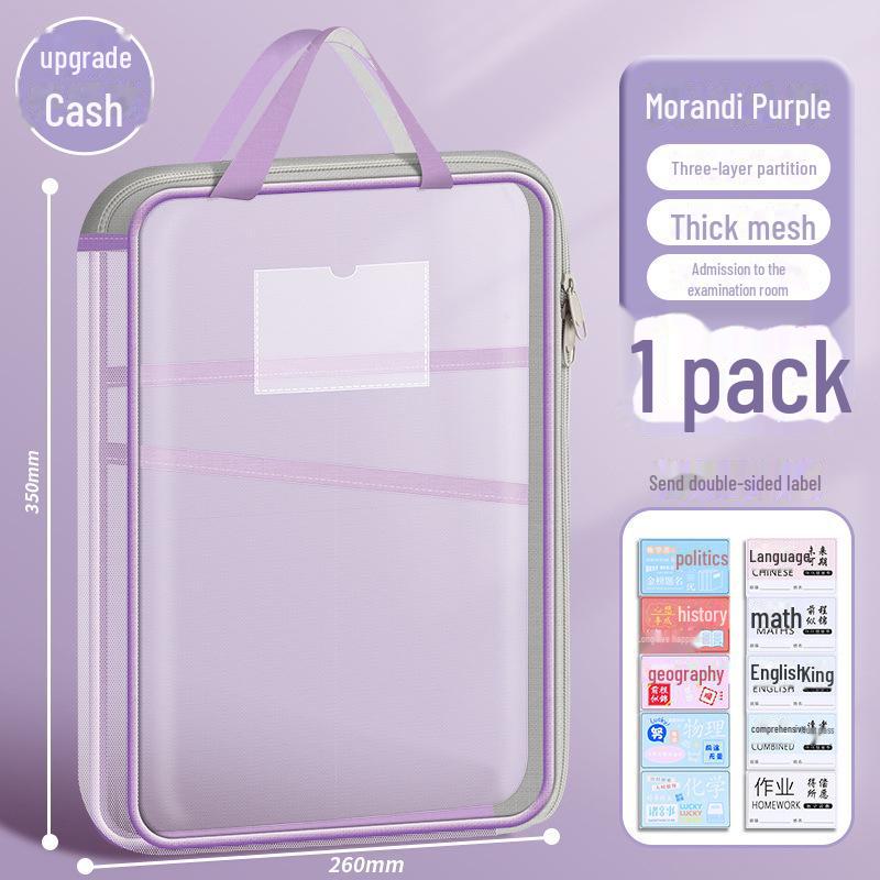 Transparent Large-Capacity L-Shaped Homework and Filing Bag