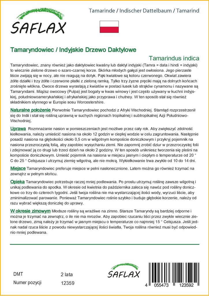 SAFLAX Подарочный набор - Тамаринд - 4 семени - С подарочной коробкой, карточкой, этикеткой и субстратом для горшков - Tamarindus indica