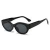 New Fashionable Versatile Cat Eye Sunglasses Women Casual Hip-Hop Sun Glassess Outdoor Travel Skiing Sunglasses For Female