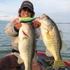 Megabass BIG-M 7.5 Jukucho Shad