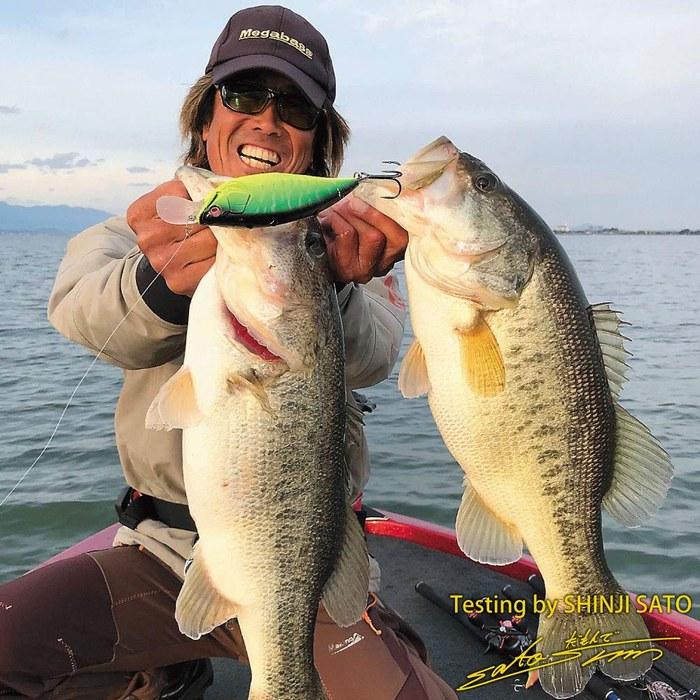 Megabass BIG-M 7.5 Jukucho Shad