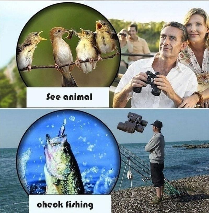 Телескоп бинокля с биноклем ночного видения для инструментов для кемпинга