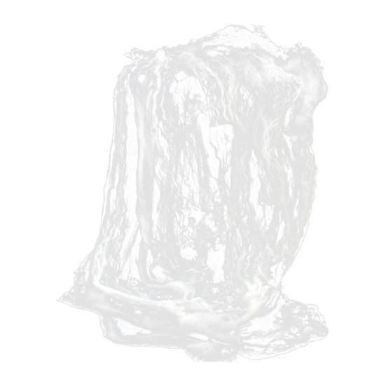 Хэллоуин скелет фигурка 5 шт 16 дюймов полное тело подвижные суставы кость статуэтка жуткий