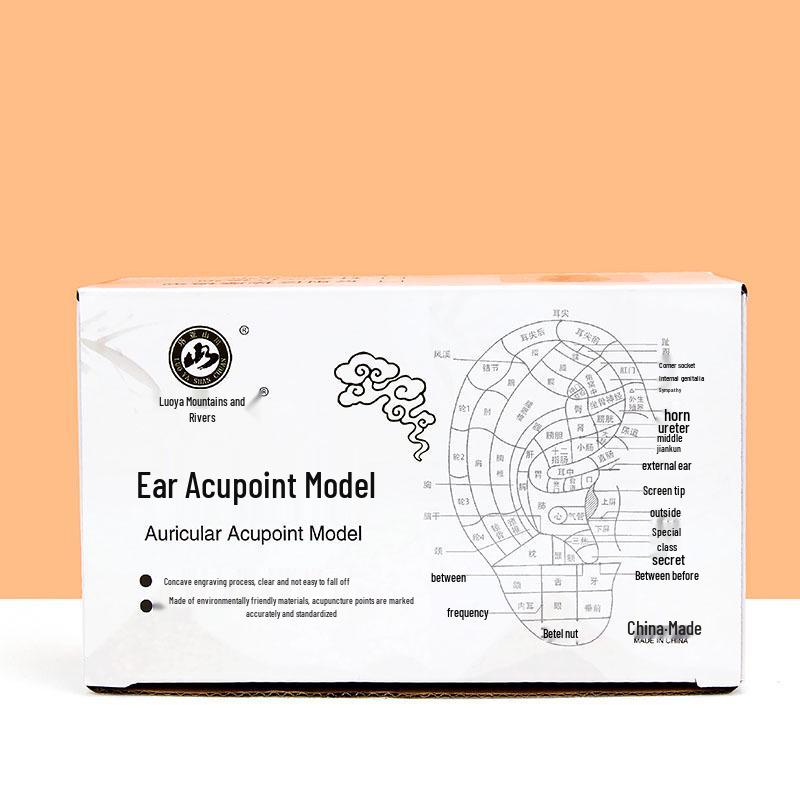 Модель рефлекторной зоны ушной акупунктурной точки 13 см - 18 см для акупунктуры и меридианной терапии