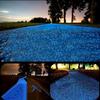 5000pcs/bag Luminous Sand Glow In Dark Pebbles Stone Home Garden Outdoor Path Lawn Decoration Fish Tank Aquarium Decor 3-5mm